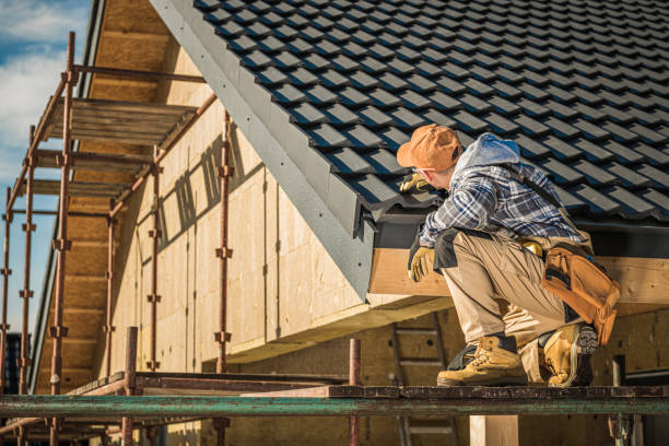 Best New Roof Installation  in Loyal, WI