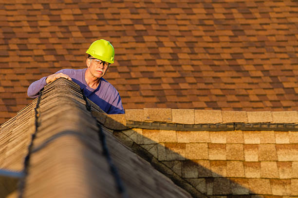 Best Slate Roofing Contractor  in Loyal, WI