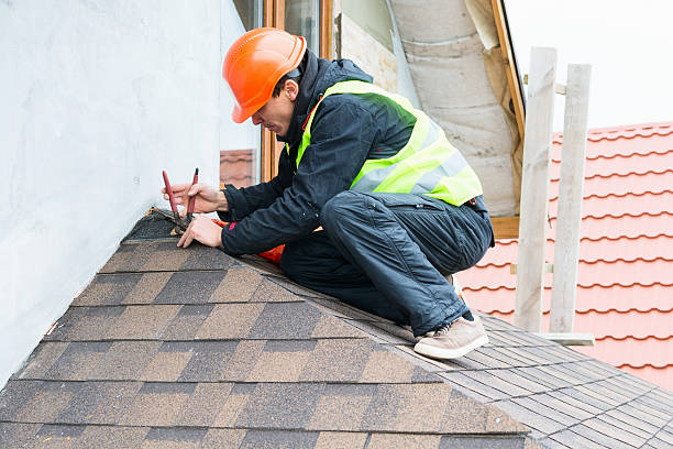 Best Roof Leak Repair  in Loyal, WI