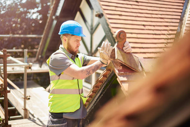 Best Roof Waterproofing Services  in Loyal, WI