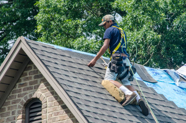Best Local Roofing Companies  in Loyal, WI